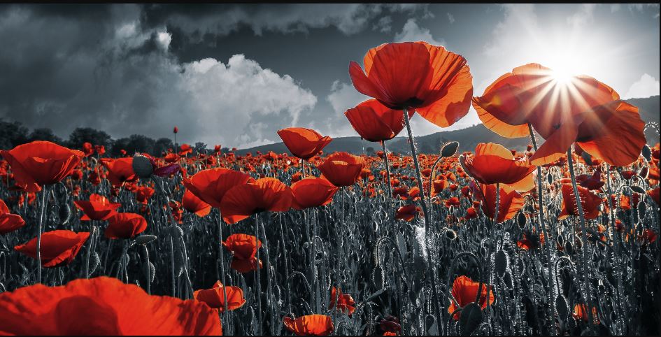 Remembrance Parade - Sunday 10th November 2024 